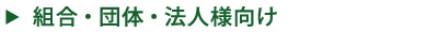 ȹ硦Ρˡ͸