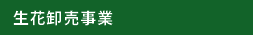 ֲ